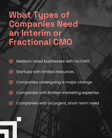 What Types of Companies Need an Interim or Fractional CMO?